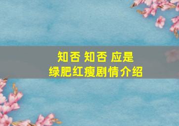 知否 知否 应是绿肥红瘦剧情介绍